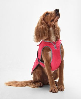 Monmouth Waterproof Dog Coat