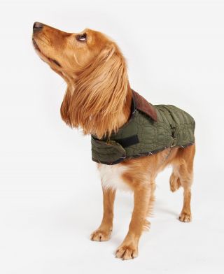 Barbour Hundemantel Bone Quilted