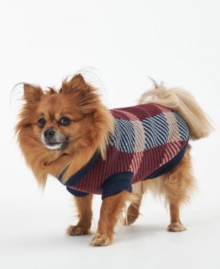 Barbour Finn Dog Jumper