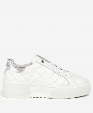 Barbour Darla Trainers