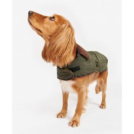 Barbour dachshund coat shop