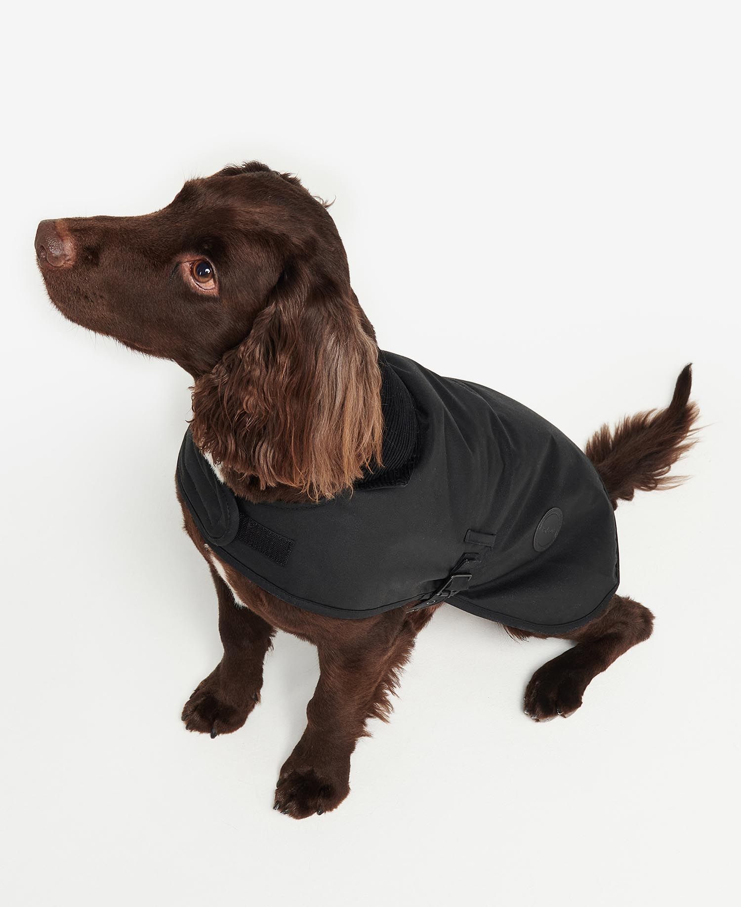 Barbour quilted dog coat black hot sale