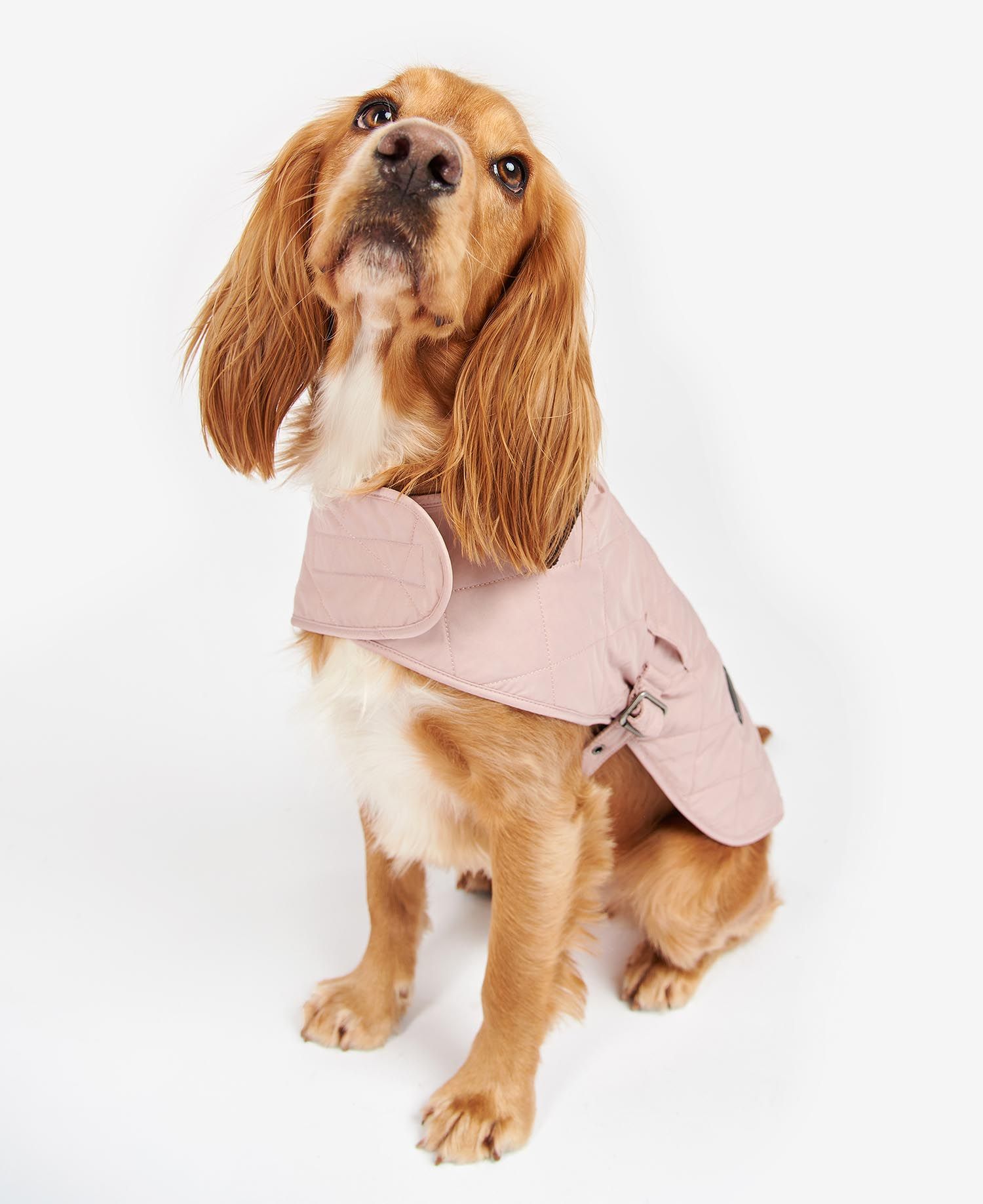 Barbour girl dog coat shop
