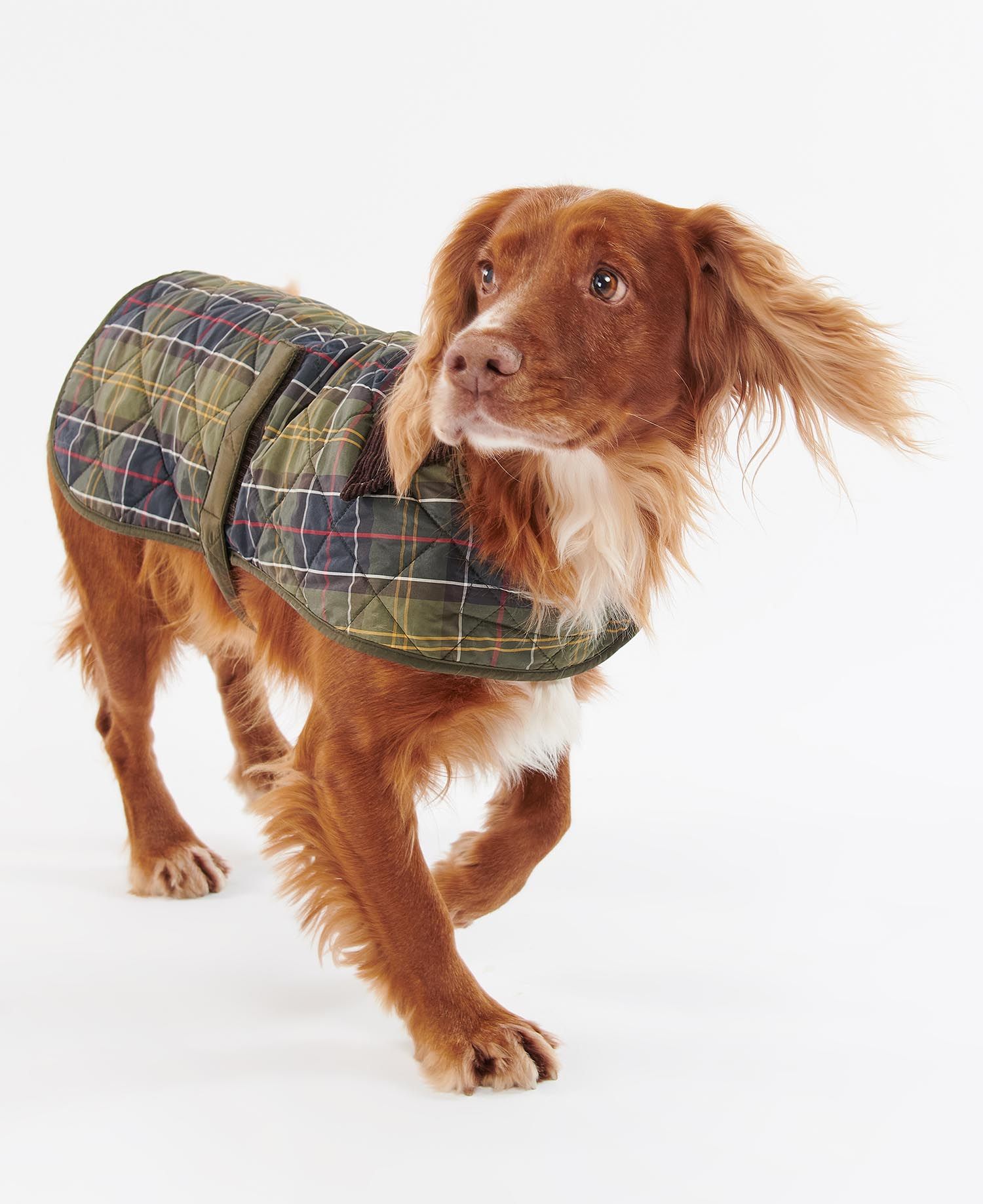 Barbour Tartan Dog Coat in Tartan Barbour Barbour