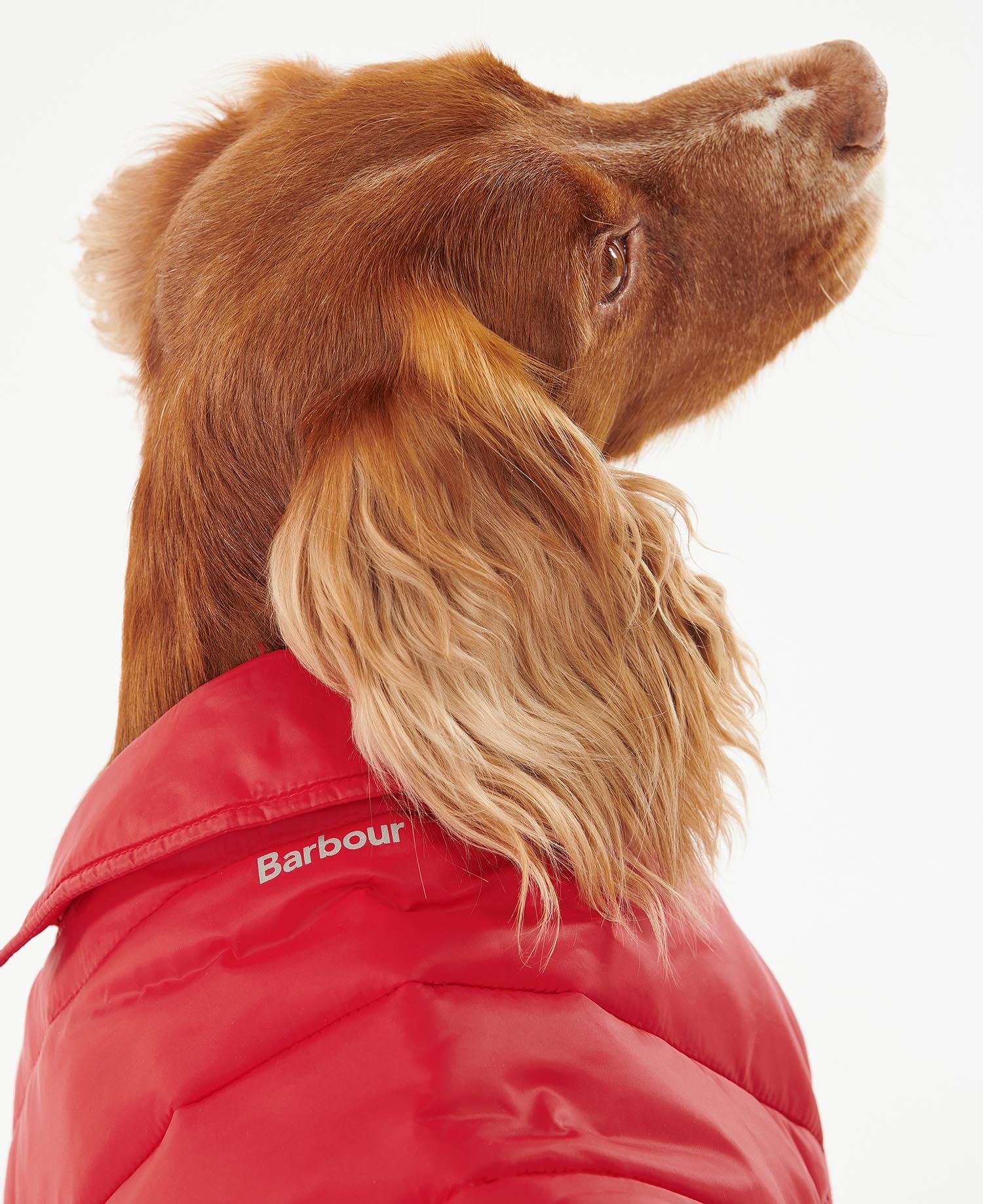 Buy the Barbour Baffle Quilt Dog Coat in Red Barbour