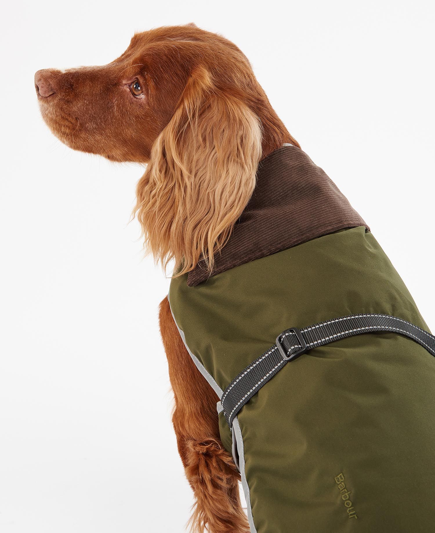 Shop the Barbour Monmouth Waterproof Dog Coat in Green | Barbour