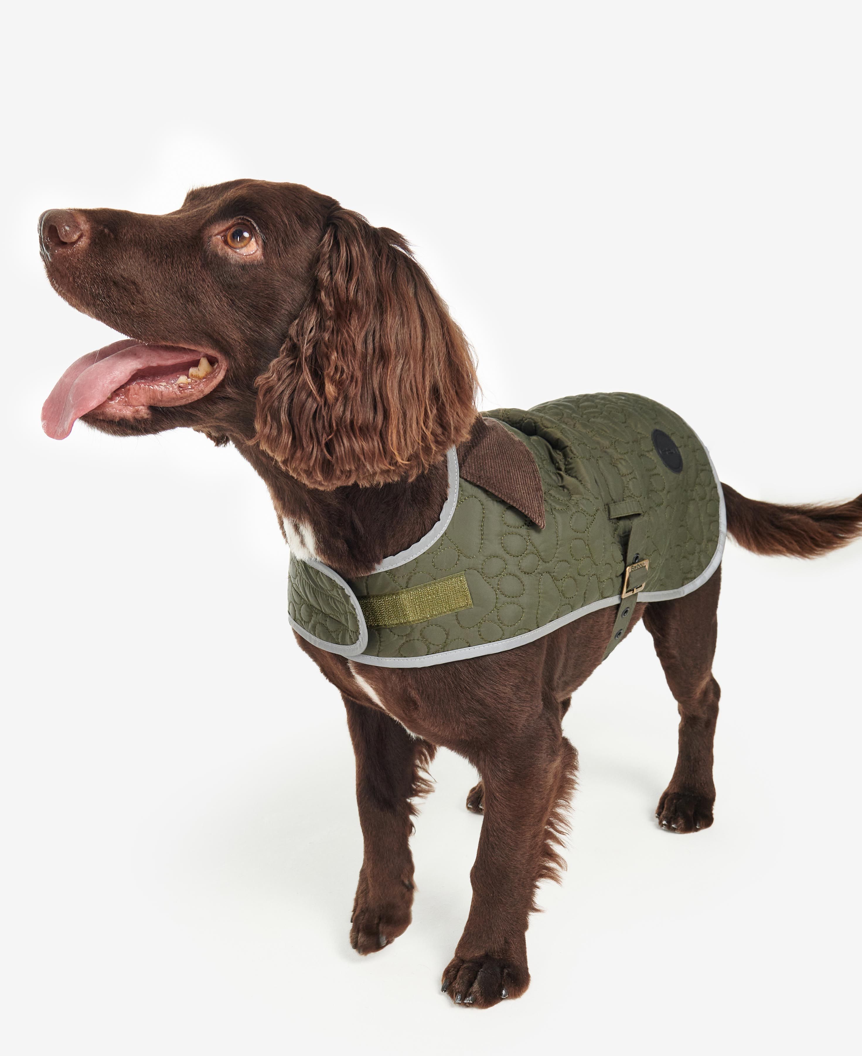 Barbour dog coat deals amazon