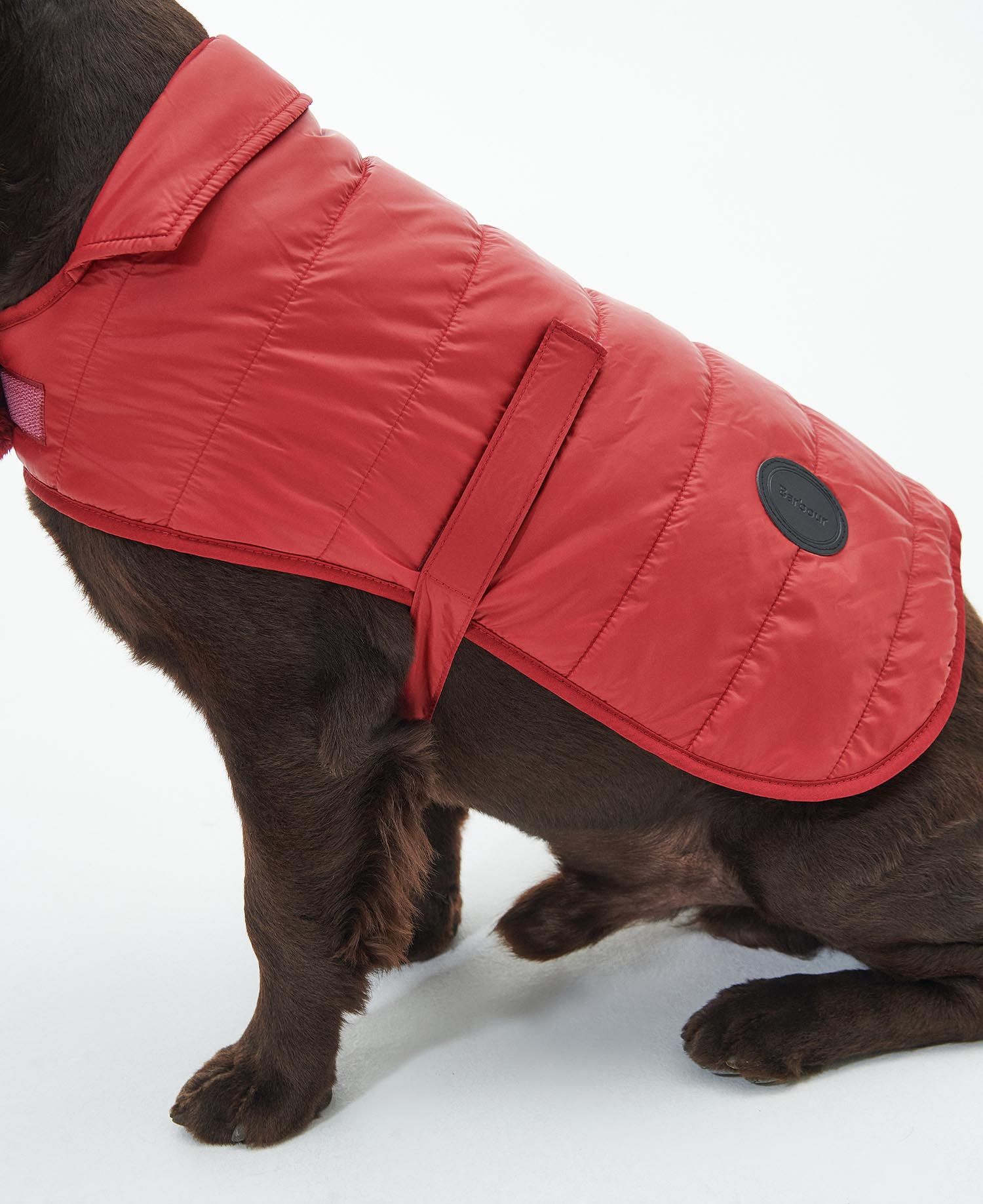 Barbour quilted on sale girl dog coat