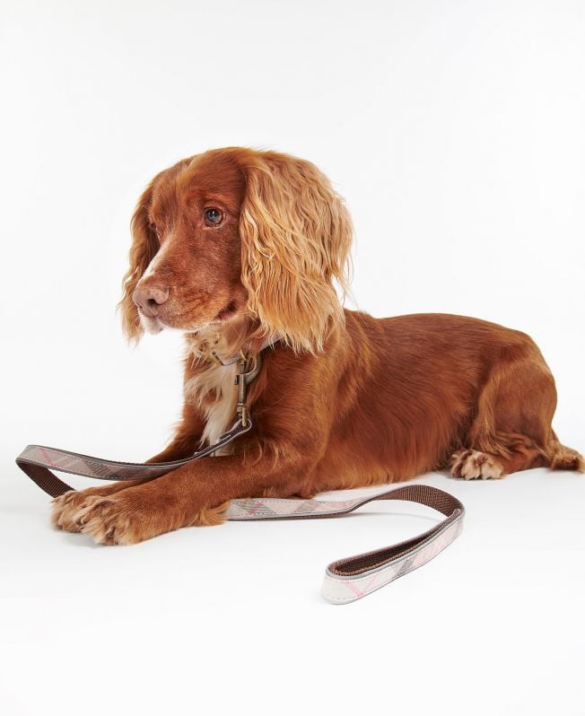Barbour Reflective Tartan Dog Lead in Beige Barbour Barbour