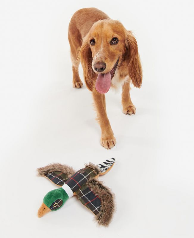 Pheasant hotsell dog toy