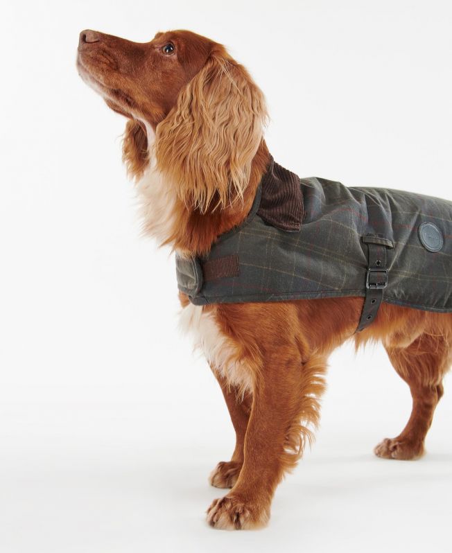 Barbour Tartan Wax Dog Coat in Tartan Barbour Barbour