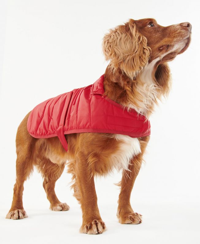 Buy the Barbour Baffle Quilt Dog Coat in Red Barbour