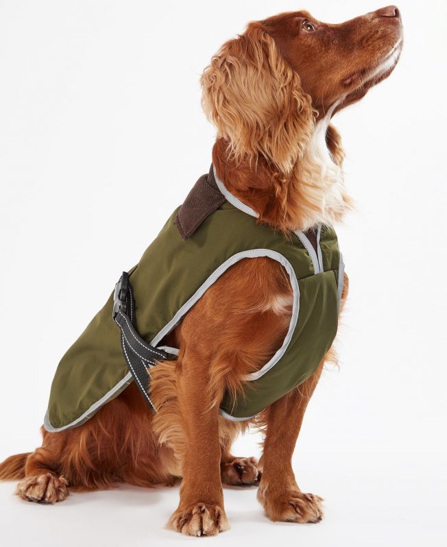 Shop the Barbour Monmouth Waterproof Dog Coat in Green Barbour