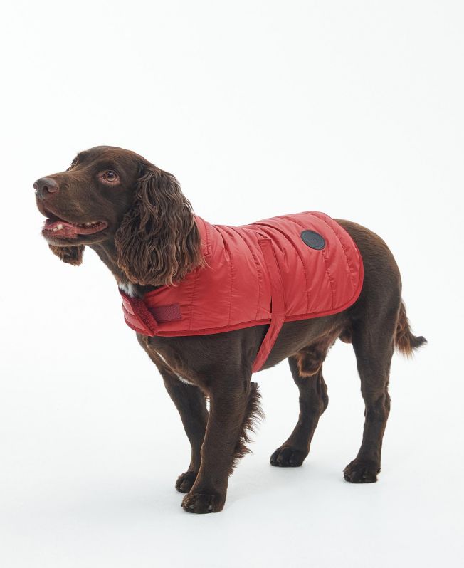 Shop the Barbour Baffle Quilted Dog Coat in Red today. Barbour