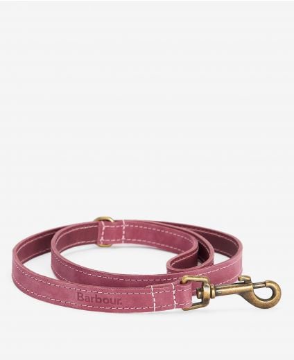 Leather Dog Lead