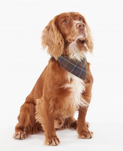 Tartan Bandana