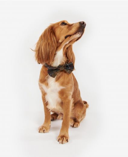 Barbour Tartan Dog Bow Tie