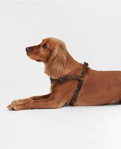 5 Way Adjustable Dog Harness