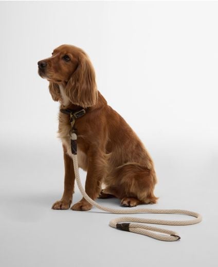Hundeleine Rope