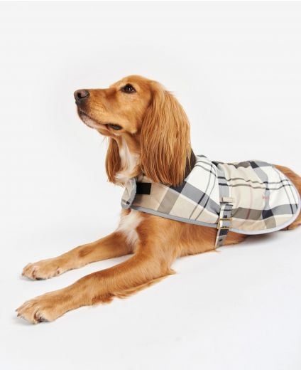 Barbour dog coats sale new arrivals