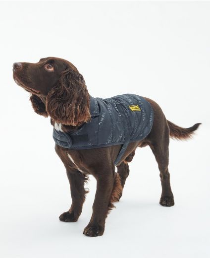 B.Intl Quilted Dog Coat