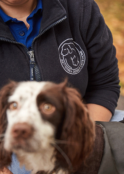 barbour battersea dog coat