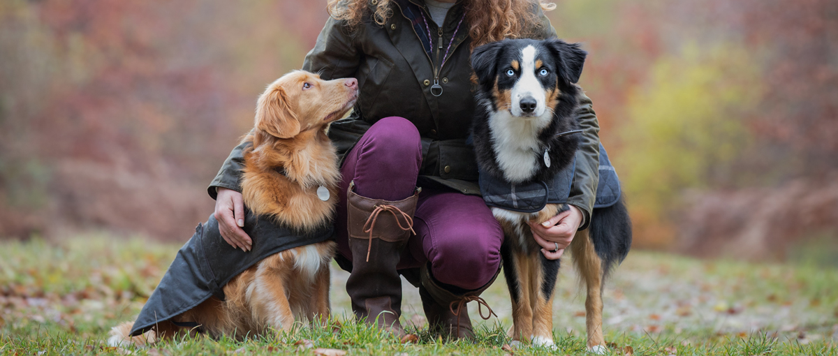 Win Your Dog a Raymond Briggs-Style Illustration 