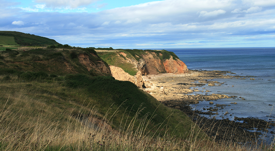 Barbour X National Trust Easington landscape
