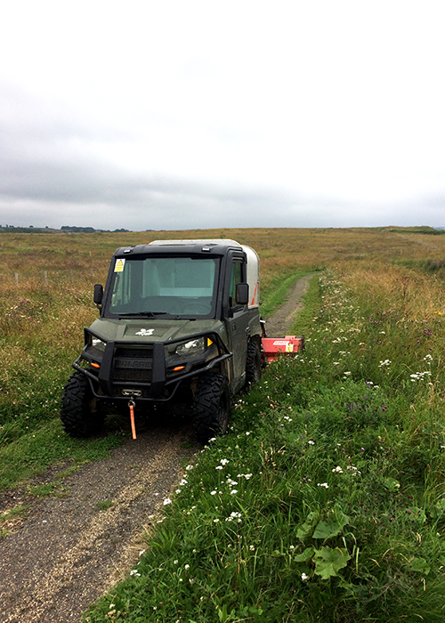 ranger on property