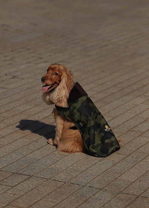 Barbour x BAPE AW21 Collection Barbour x BAPE AW21 Collection