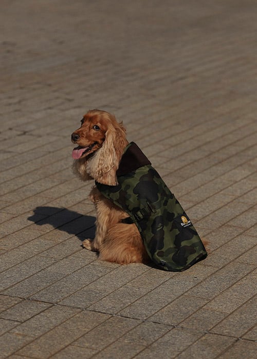 Barbour x BAPE AW21 Collection