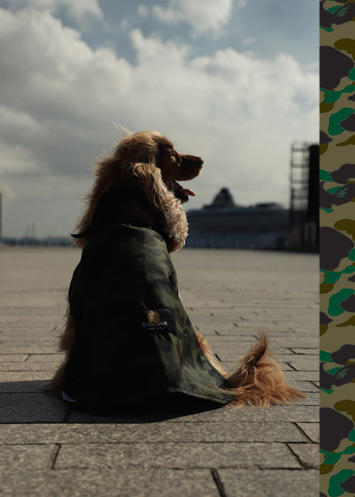 Barbour x BAPE Collection Herbst/Winter 2021 Barbour x BAPE Collection Herbst/Winter 2021