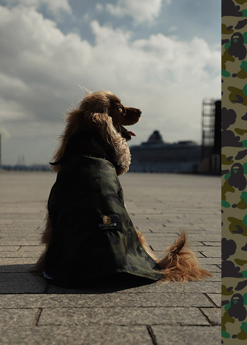 Barbour x BAPE AW21 Collection