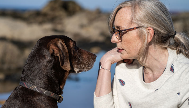 barbour pet accessories