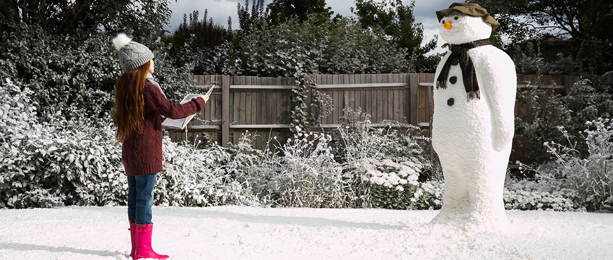 barbour snowman socks