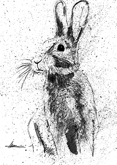 Colin Brown art Colin Brown art