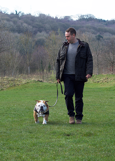 barbour coats for dogs