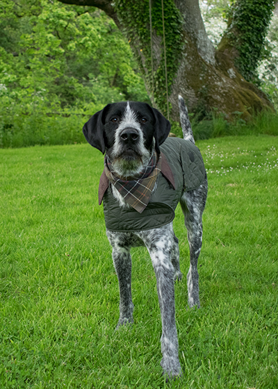 barbour seahouse top