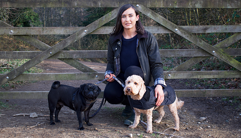 barbour bandana for dogs