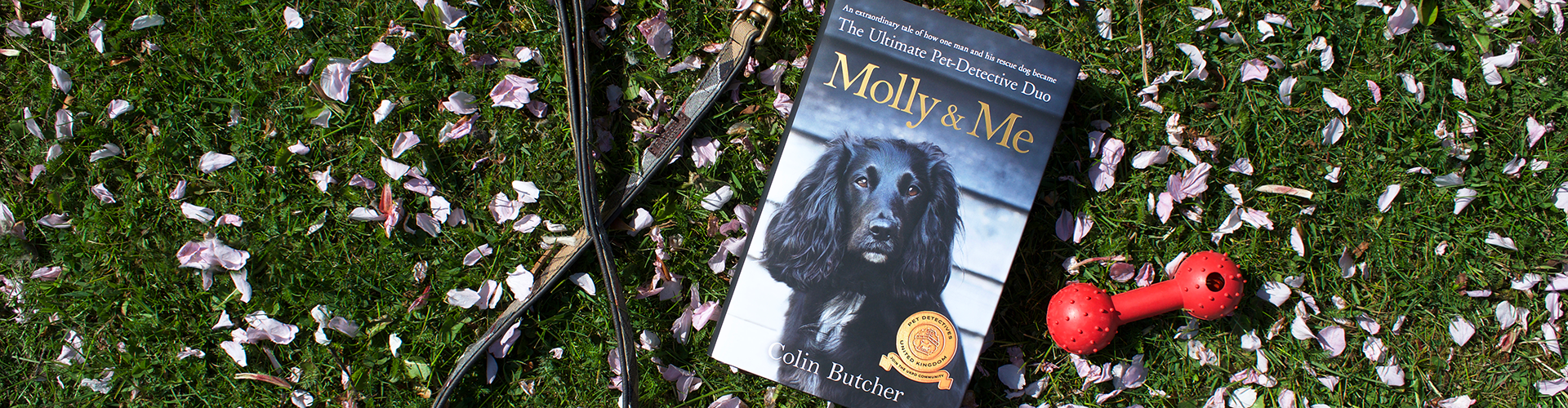 Win a Signed Copy of Molly and Me by Colin Butcher