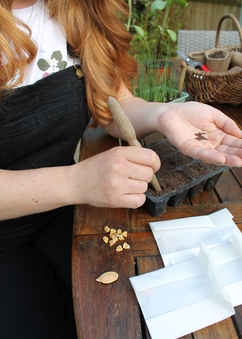 Kerry Lockwood's Easter Egg Hunt How to Sow and Grow at home with Hayley Moisley