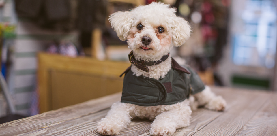Barbour deals tweed gamefair