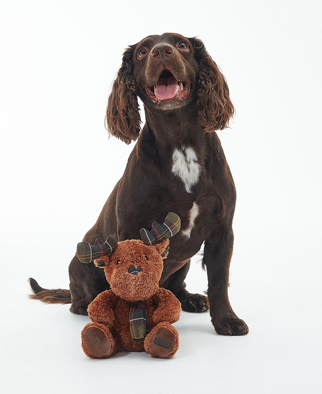 Most Wanted Barbour Gifts 2023 Barbour Barbour