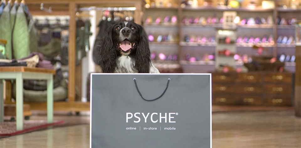 BarbourDogs: Meet The Dogs of Psyche 