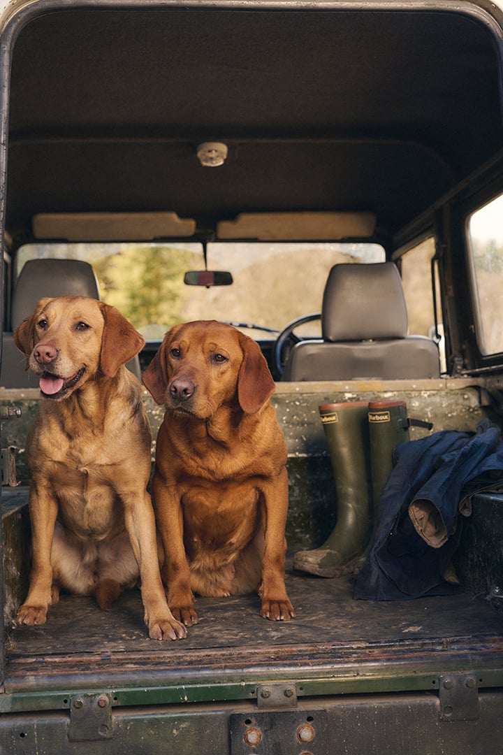 Barbour Dog Walking Essentials