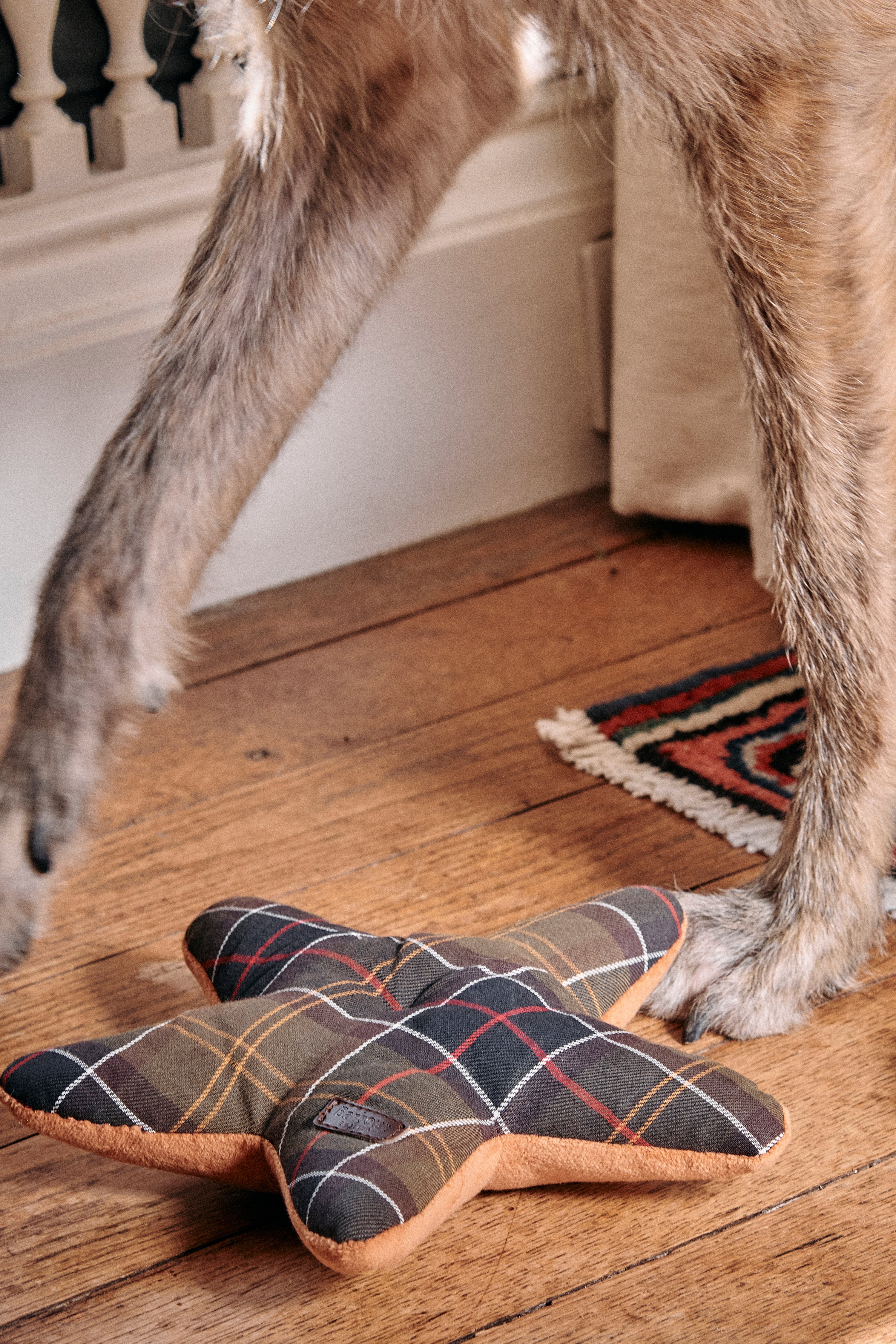 Christmas Gifts for your Dogs