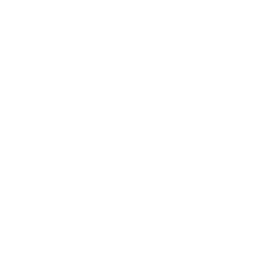 Barbour x Wallace & Gromit