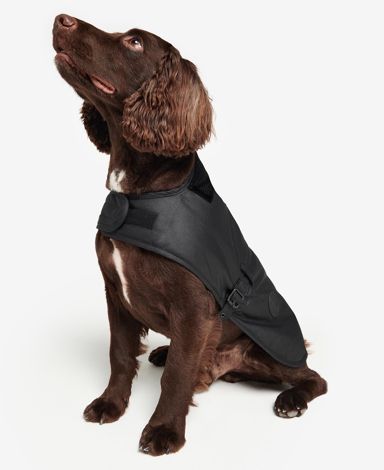 犬服・アクセサリー Barbour Wax Dog Coat Buy Waxed Dog Coat for GBP 54.95 | BARBOUR_GB