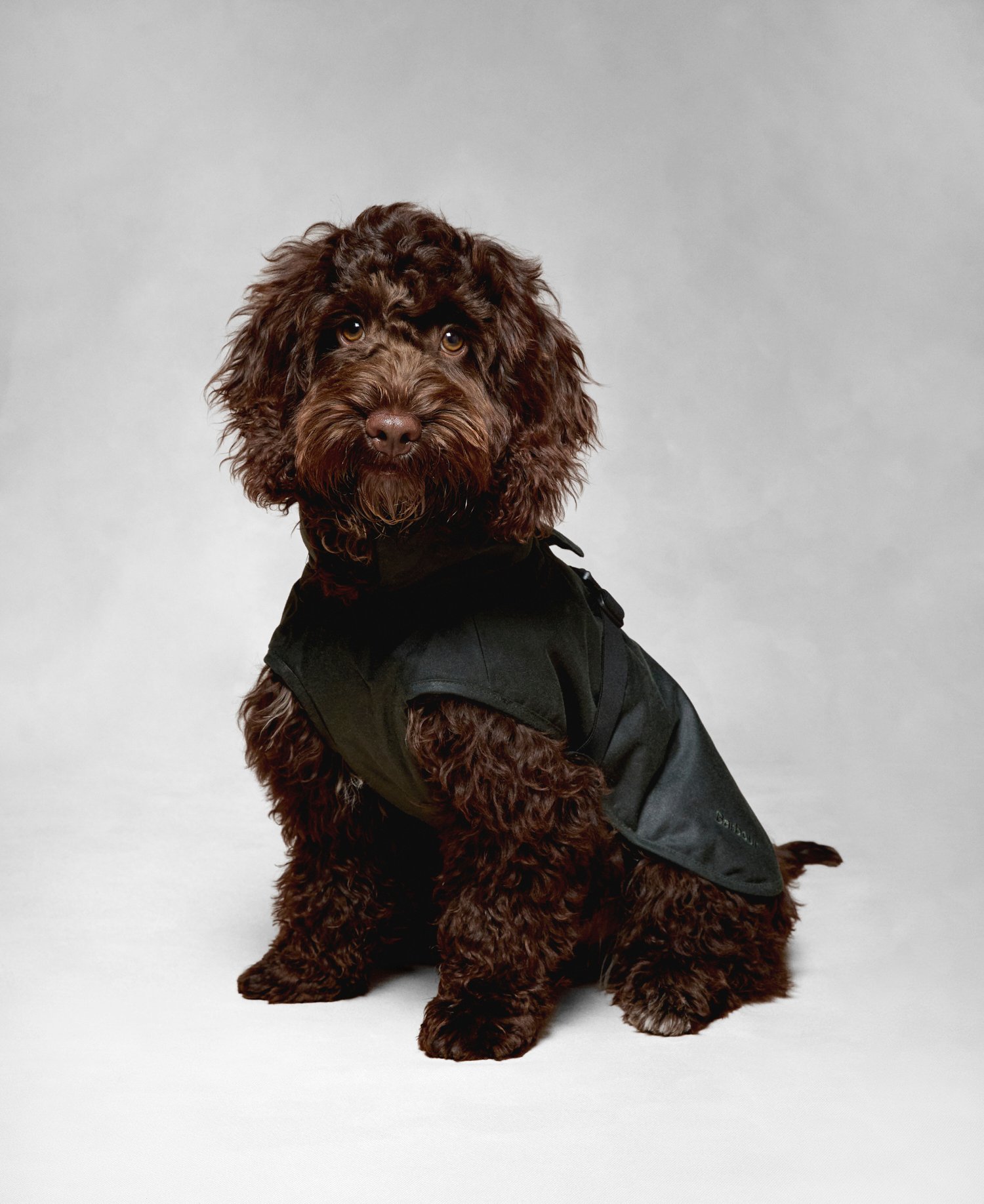 Barbour x ARKET Fairgame Waxed Dog Coat