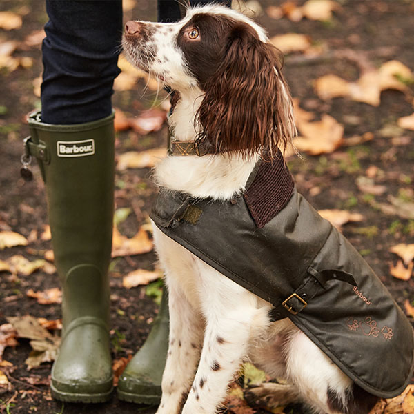 dog raincoat barbour